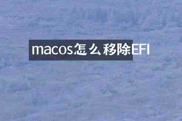 macos怎么移除EFI