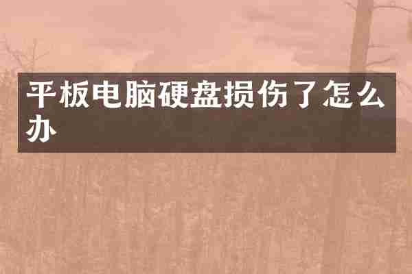平板电脑硬盘损伤了怎么办