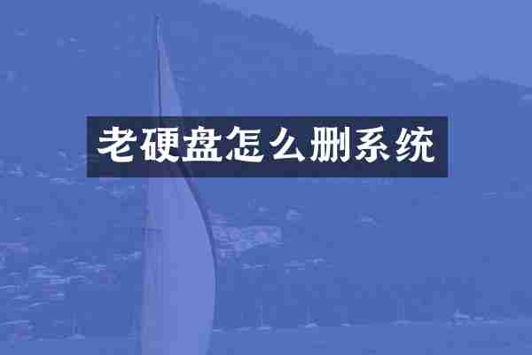 老硬盘怎么删系统