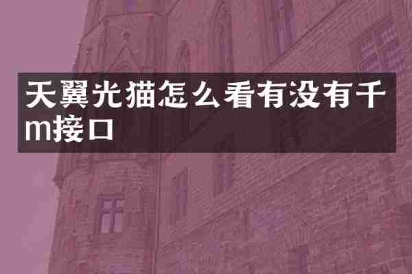 天翼光猫怎么看有没有千m接口