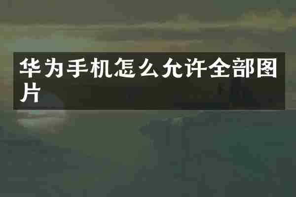 华为手机怎么允许全部图片