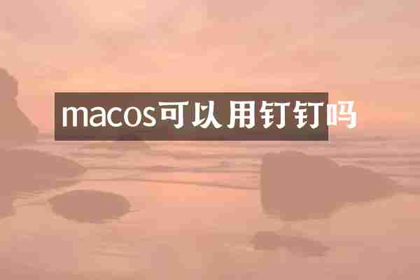 macos可以用钉钉吗