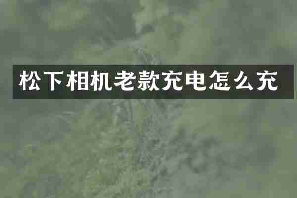 相机老款充电怎么充