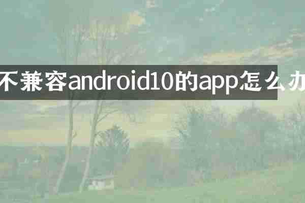 不兼容android10的app怎么办