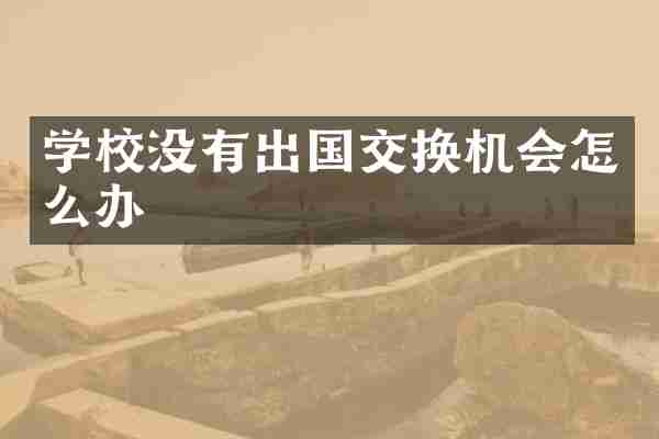 学校没有出国交换机会怎么办