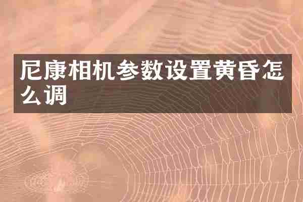 尼康相机参数设置黄昏怎么调