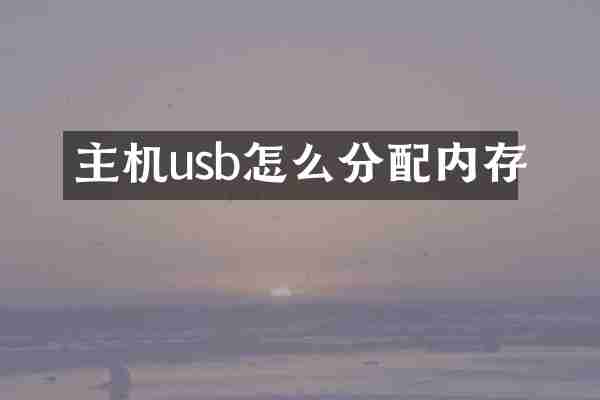 主机usb怎么分配内存