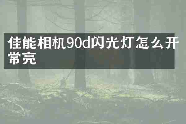 佳能相机90d闪光灯怎么开常亮