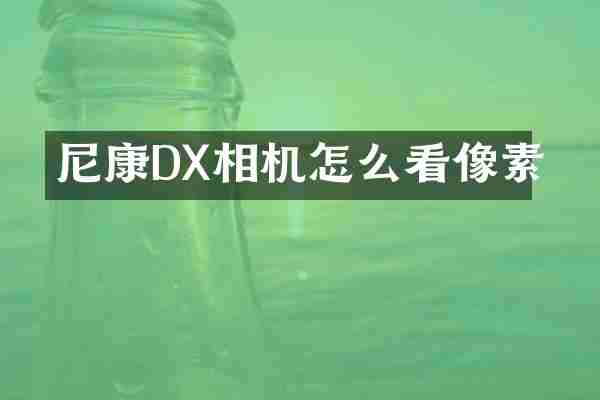 尼康DX相机怎么看像素