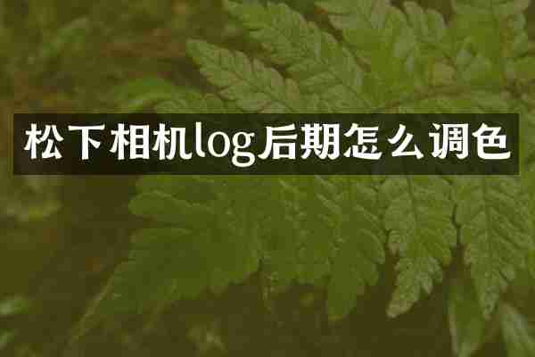 松下相机log后期怎么调色