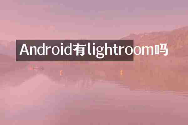 Android有lightroom吗