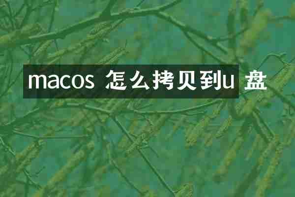 macos 怎么拷贝到u 盘