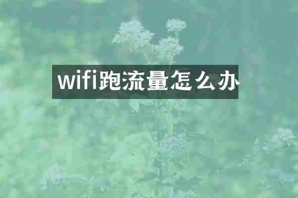 wifi跑流量怎么办