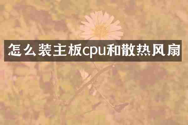 怎么装主板cpu和散热风扇