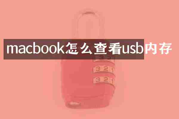 macbook怎么查看usb内存