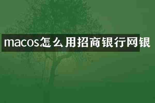 macos怎么用招商银行网银