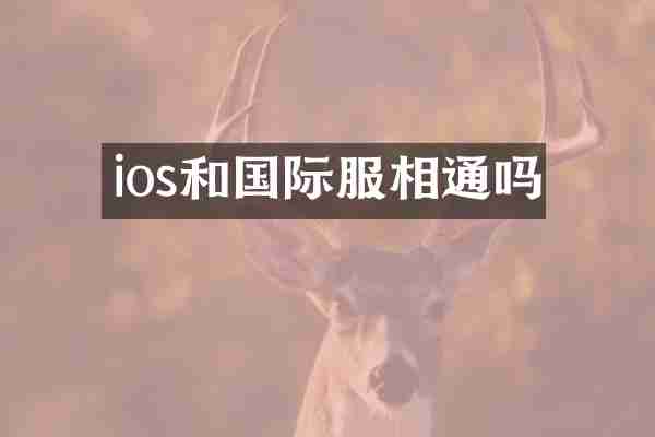 ios和国际服相通吗