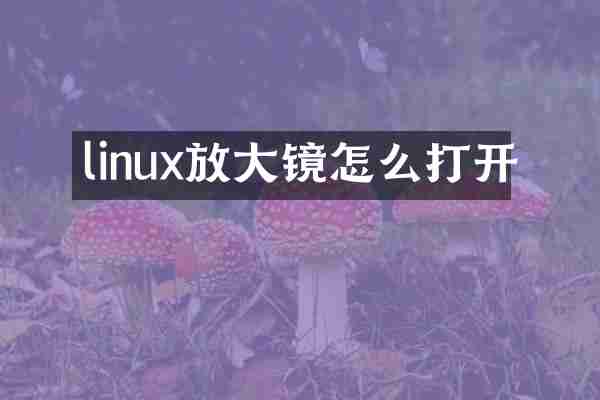 linux放大镜怎么打开