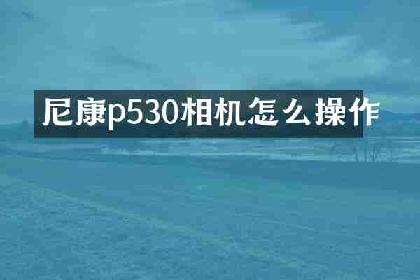 尼康p530相机怎么操作