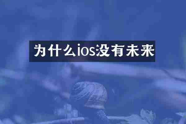 为什么ios没有未来