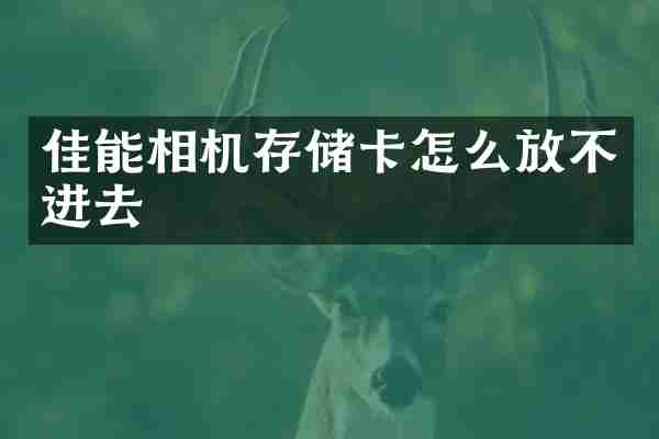 佳能相机存储卡怎么放不进去