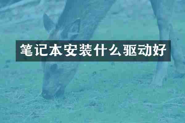 笔记本安装什么驱动好