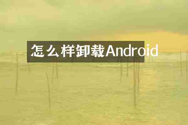 怎么样卸载Android
