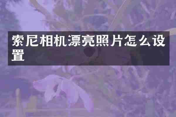 相机漂亮照片怎么设置