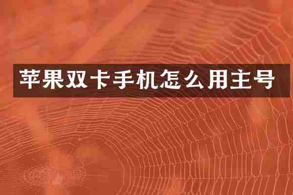 苹果双卡手机怎么用主号
