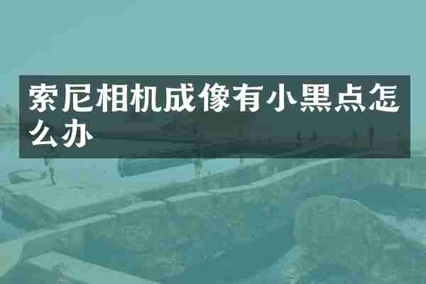 索尼相机成像有小黑点怎么办