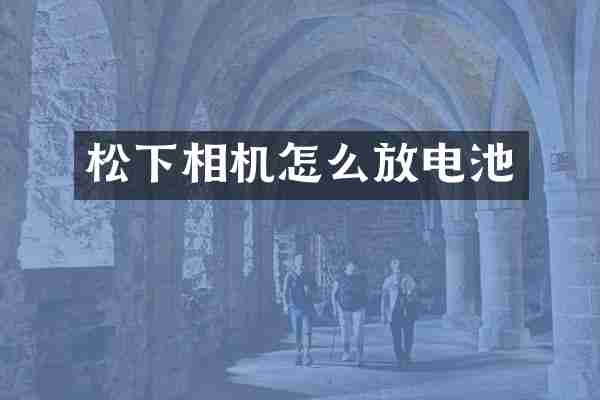 松下相机怎么放电池