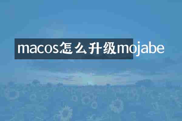 macos怎么升级mojabe