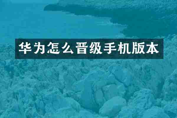 华为怎么晋级手机版本