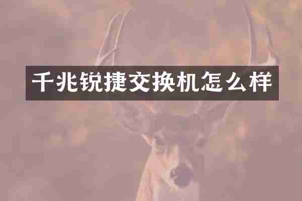 千兆锐捷交换机怎么样