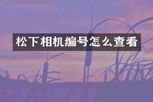 相机编号怎么查看