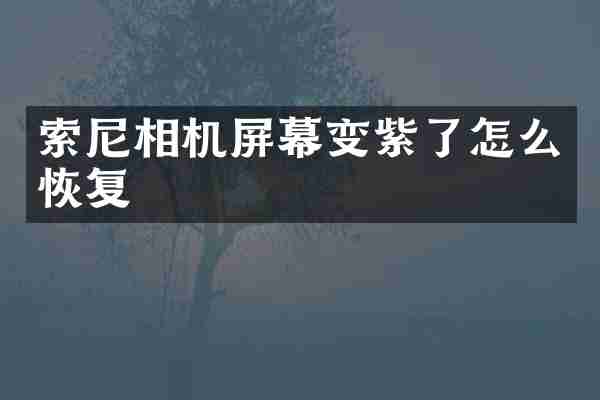 相机屏幕变紫了怎么恢复