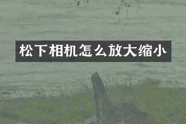 相机怎么放大缩小