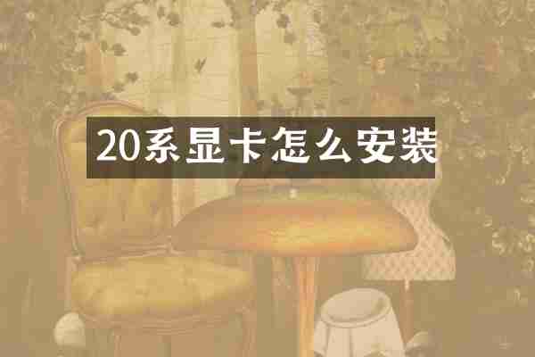 20系显卡怎么安装