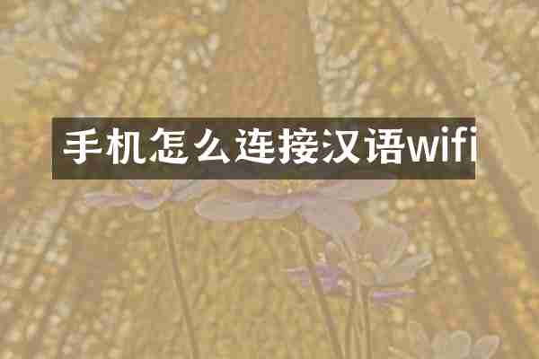 手机怎么连接汉语wifi