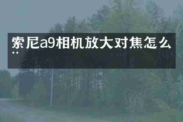 a9相机放大对焦怎么用