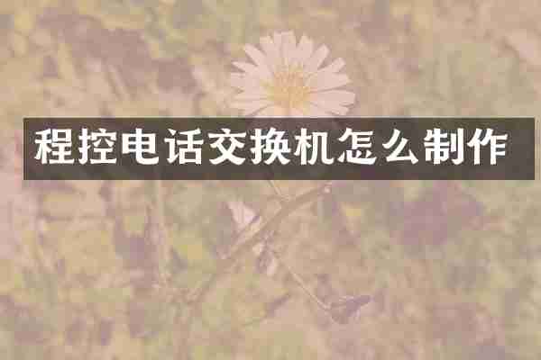 程控电话交换机怎么制作