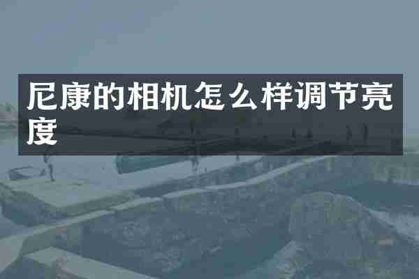 尼康的相机怎么样调节亮度