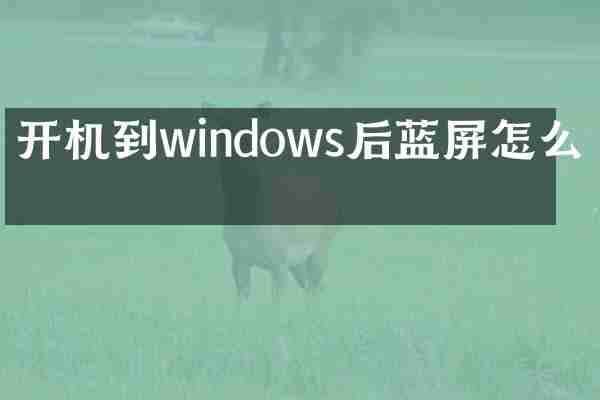 开机到windows后蓝屏怎么办