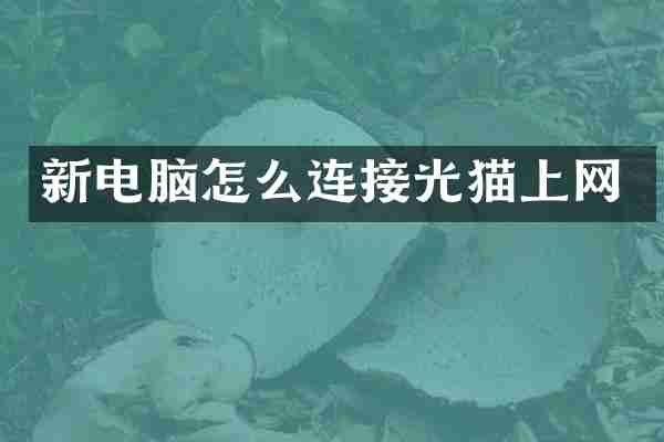 新电脑怎么连接光猫上网
