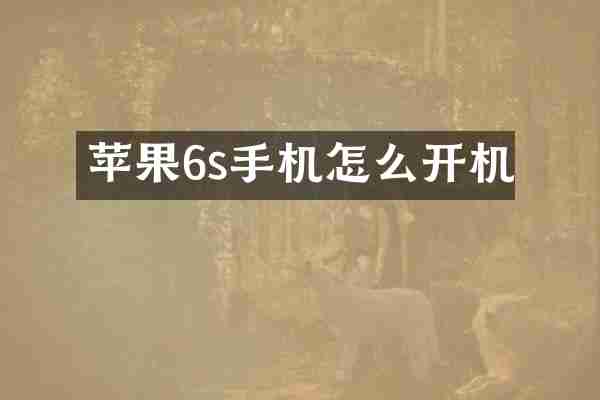 苹果6s手机怎么开机