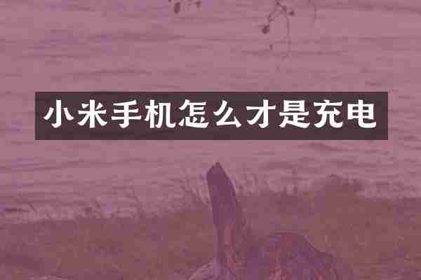 小米手机怎么才是充电