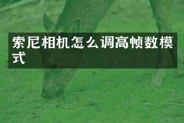 索尼相机怎么调高帧数模式