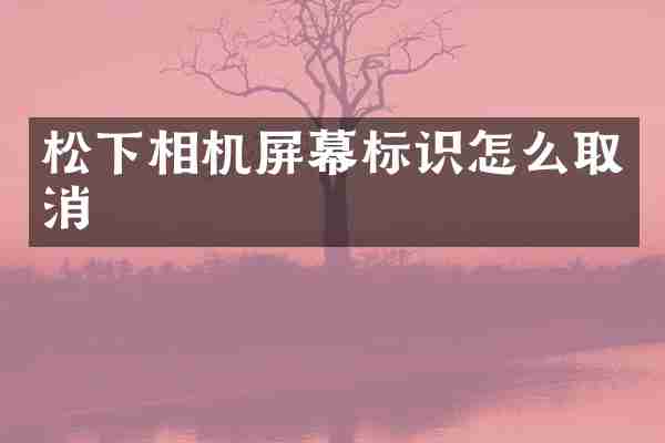 松下相机屏幕标识怎么取消