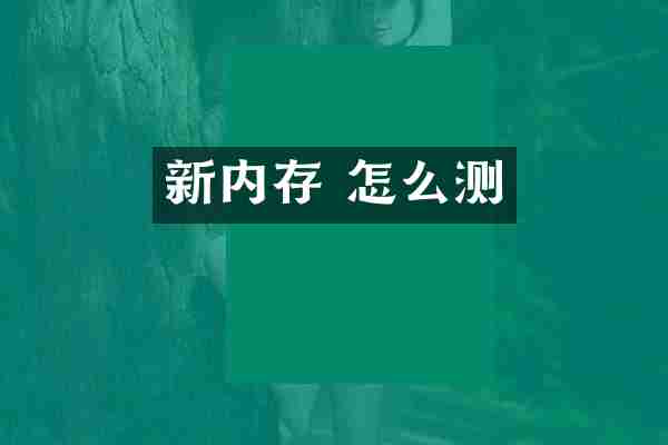 新内存 怎么测