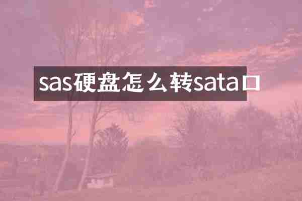 sas硬盘怎么转sata口